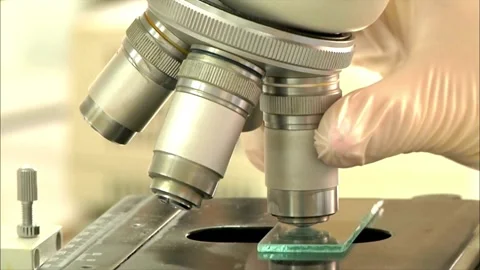 A biologist works in a laboratory, observing activity under a microscope Stock Footage 336582624