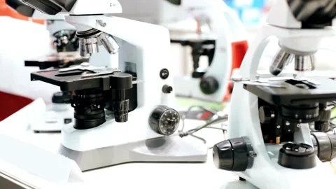 A biologist works in a laboratory, observing activity under a microscope Stock Footage 336582628