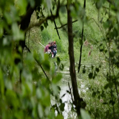 Biologists collecting water samples Stock Footage 69452347