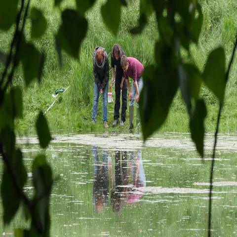 Biologists collecting water samples Stock Footage 69453579