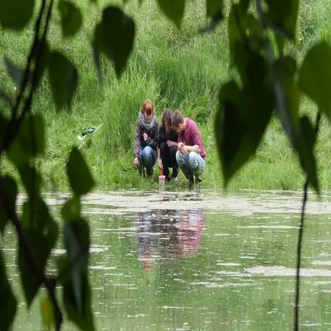 Biologists collecting water samples Stock Footage 69454570
