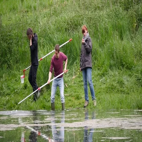 Biologists collecting water samples Vídeos de archivo 69454914