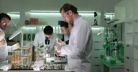 Biologists Team Study Seed of Plants Engineering Chemistry Laboratory Activity Stock Footage 85518909