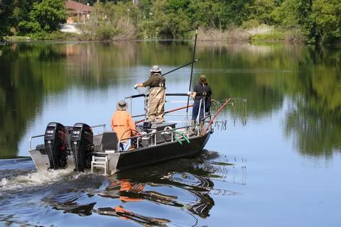 Biologists work Fotos de archivo