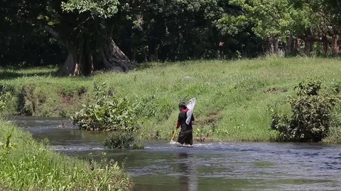 Biologists working in a river, catching dragonflies 스톡 동영상 111451850