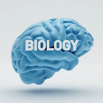 Biology brain イラスト素材