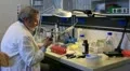 biology ,chemistry & research HD Footage