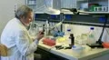 biology ,chemistry & research HD Footage