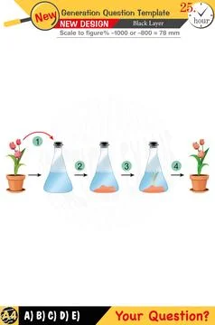 Biology designs emphasize key concepts, next-gen problems, 2026 school exams. Stock Illustration