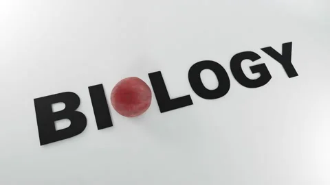 BIOLOGY Stock Footage 165726042