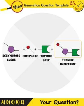 Biology, Heredity Combination Stock Illustration