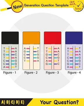 Biology, Heredity Combination Stock Illustration