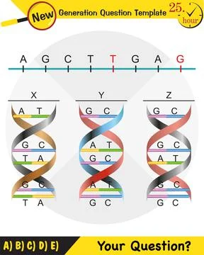 Biology, Heredity Combination Stock Illustration