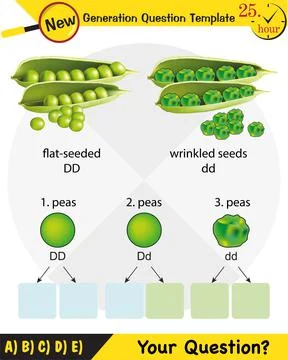 Biology, Heredity Combination Stock Illustration
