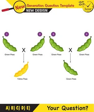 Biology, Heredity Combination Stock Illustration