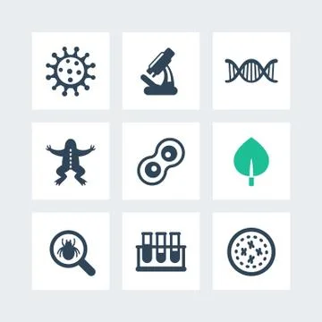 Biology icons set, cell, microscope, test-tubes, virus, vector illustration Illustrazione stock