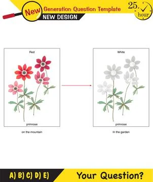 Biology lecture notes - Adaptation, mutation, inheritance Stock Illustration