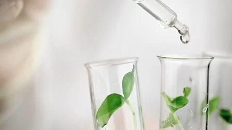 Biology research Stock Footage 10562509
