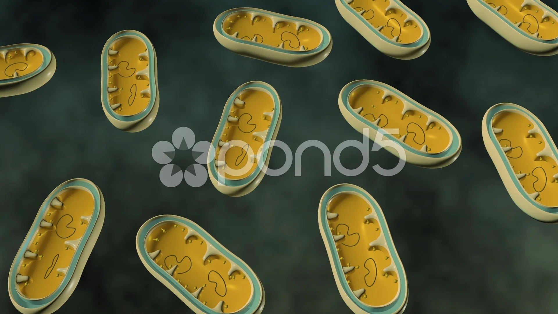 Can the mitochondria explain the great silence? | Predict