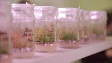 Biology science research Video stock 49071190