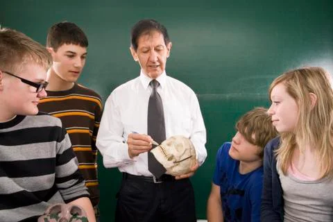 A biology teacher teaching students about the human skull Stock Photos