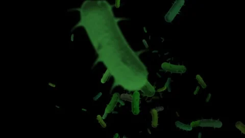 Bioluminescent Bacilli: Microscopic Green View Stockbeeldmateriaal 339269870