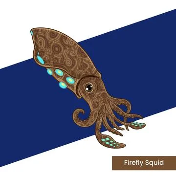 Bioluminescent Firefly Squid with Patterned Skin Vector Stock Illustration