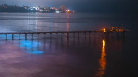 BIOLUMINESCENT OCEAN TIMELAPSE Stock-Footage 130226694
