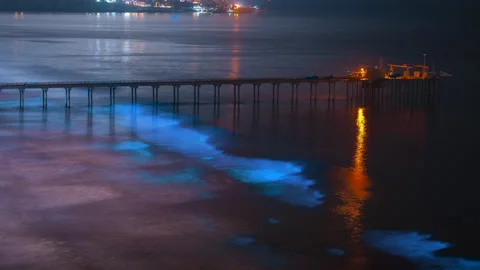 BIOLUMINESCENT OCEAN TIMELAPSE Stock-Footage 130227923