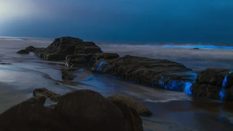 BIOLUMINESCENT OCEAN TIMELAPSE Stock-Footage 130262361