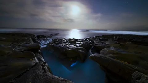 BIOLUMINESCENT OCEAN TIMELAPSE Stock-Footage 130271429