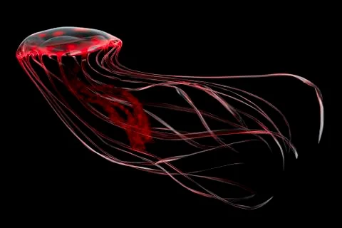 A bioluminescent red jellyfish. Stock Illustration