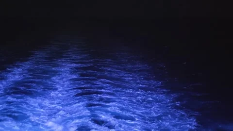 Bioluminescent ship wake glowing blue in the dark ocean water at night Stock Footage 346556363