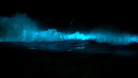 Bioluminescent Waves - 60fps - Los Angeles, CA Stock Footage
