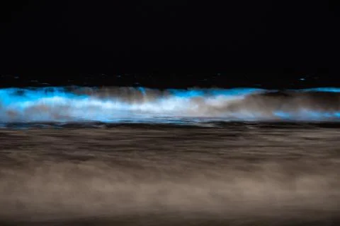 Bioluminescent Waves Stock Photos