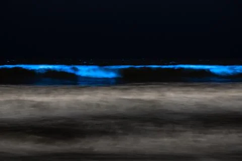 Bioluminescent Waves Stock Photos