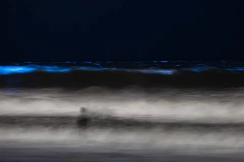 Bioluminescent Waves Stock Photos