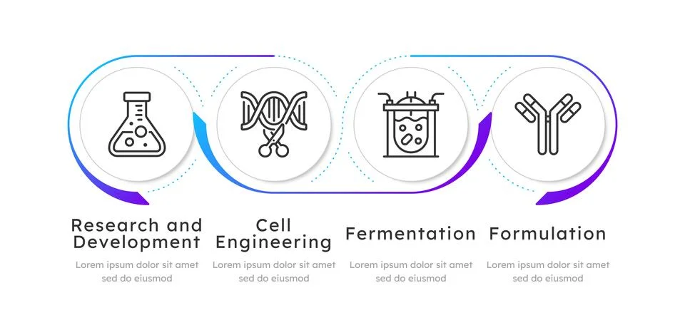 Biomanufacturing process blue gradient circle infographic 4 steps Stock Illustration
