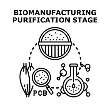 Biomanufacturing purification stage process vector concept Stock Illustration