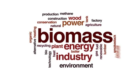 Biomass animated word cloud, text design animation. Stock Footage 74398502
