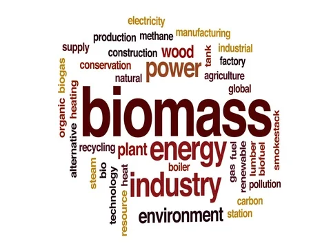 Biomass animated word cloud, text design animation. Stock Footage 74433658