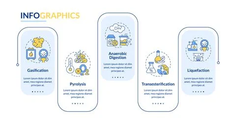 Biomass conversion pathways rectangle infographic vector Illustrazione stock