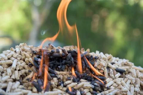 Biomass in fire Stock Photos