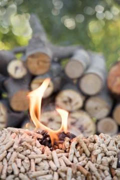 Biomass in fire Foto stock