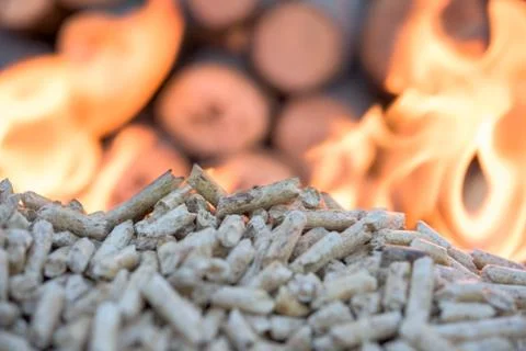 Biomass in flame Stock Photos