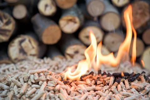 Biomass in flame Stock-Fotos