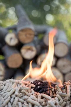Biomass in flames Stock Photos