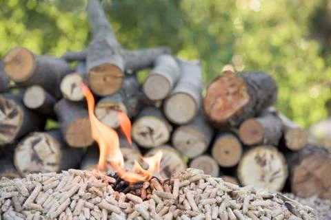 Biomass in flames Stock Photos