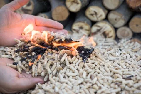 Biomass in flames Stock Photos