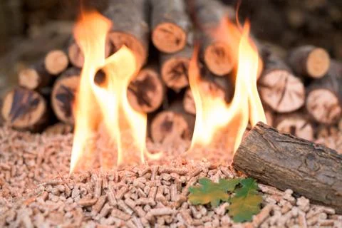 Biomass in flames Stock Photos
